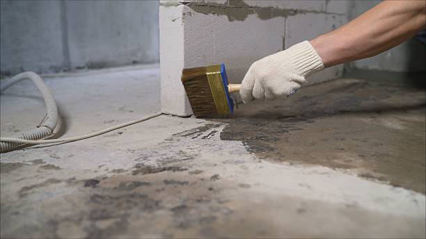 SJ Waterproofing Pros Waterproofing coverage map for Fayette, AL and surrounding area